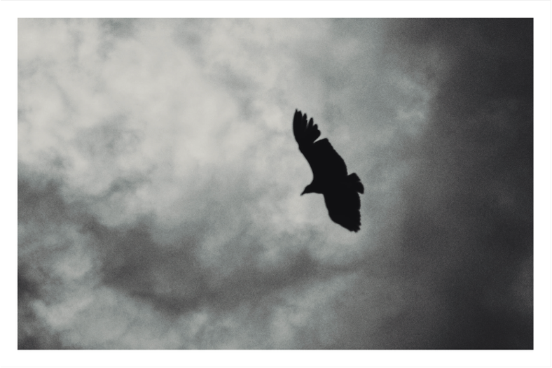 Postal #4